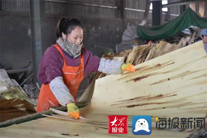 威客电竞小木材撬动大产业 鄄城县什集镇木材加工业助力乡村振兴(图2)