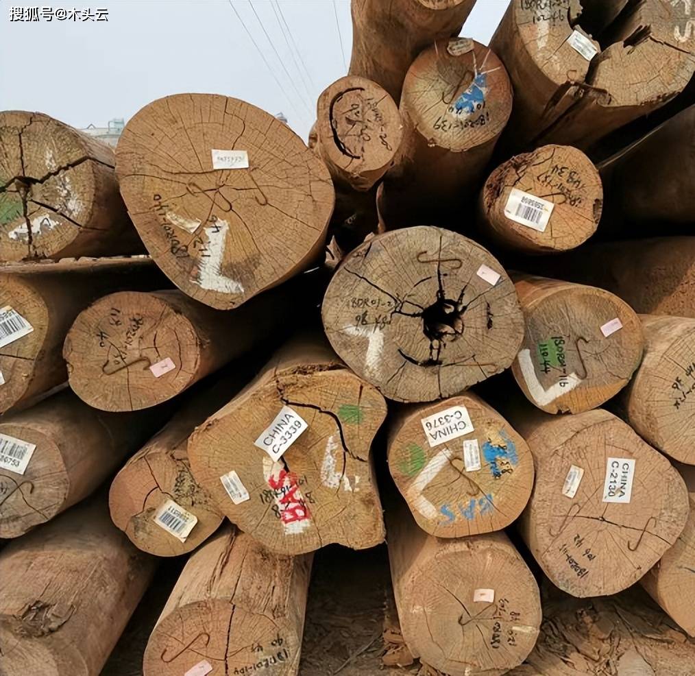 威客电竞德国最大木材公司Vida Skog：提高瑞典木材价格(图1)