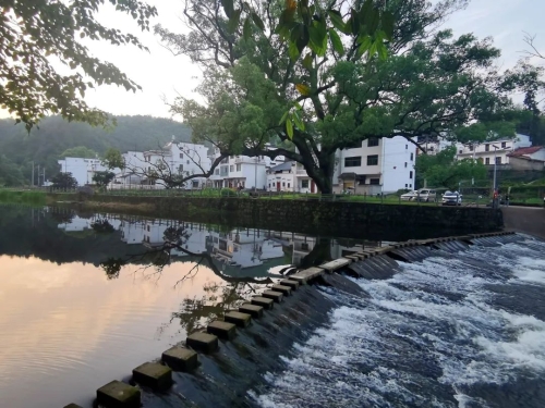 威客电竞【上饶】婺源西坑村打造“生态旅游村” 不卖木材卖风景(图1)