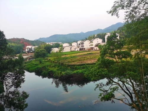 威客电竞【上饶】婺源西坑村打造“生态旅游村” 不卖木材卖风景(图2)